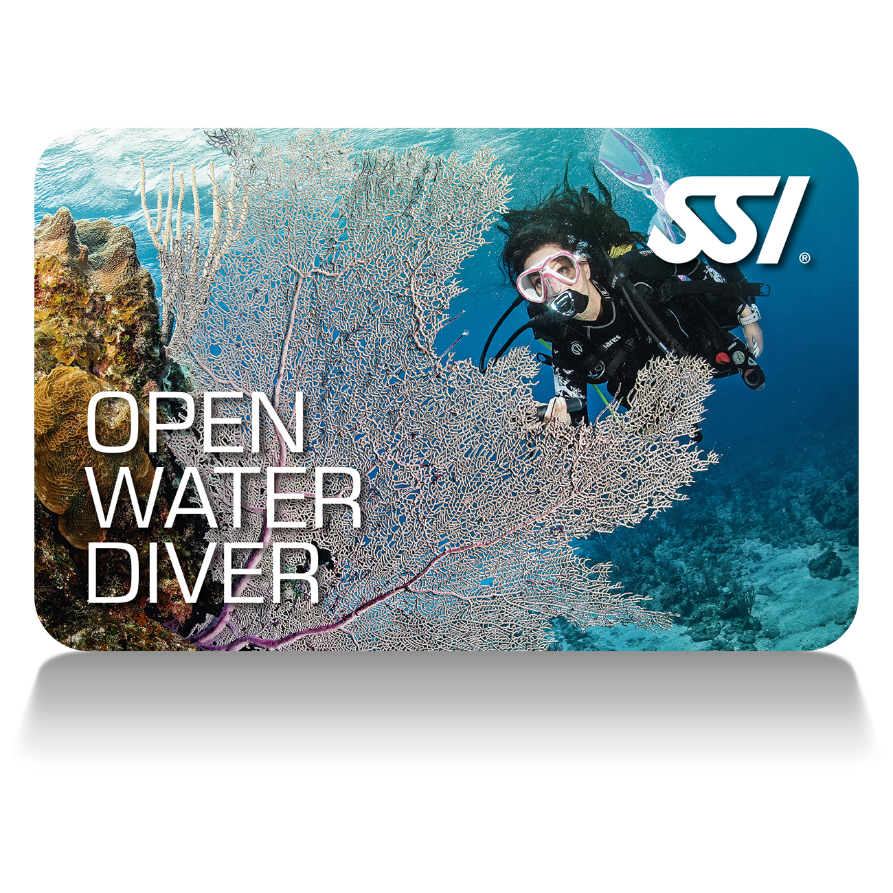 OPEN WATER DIVER