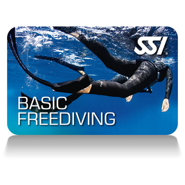 Package of 2 courses
