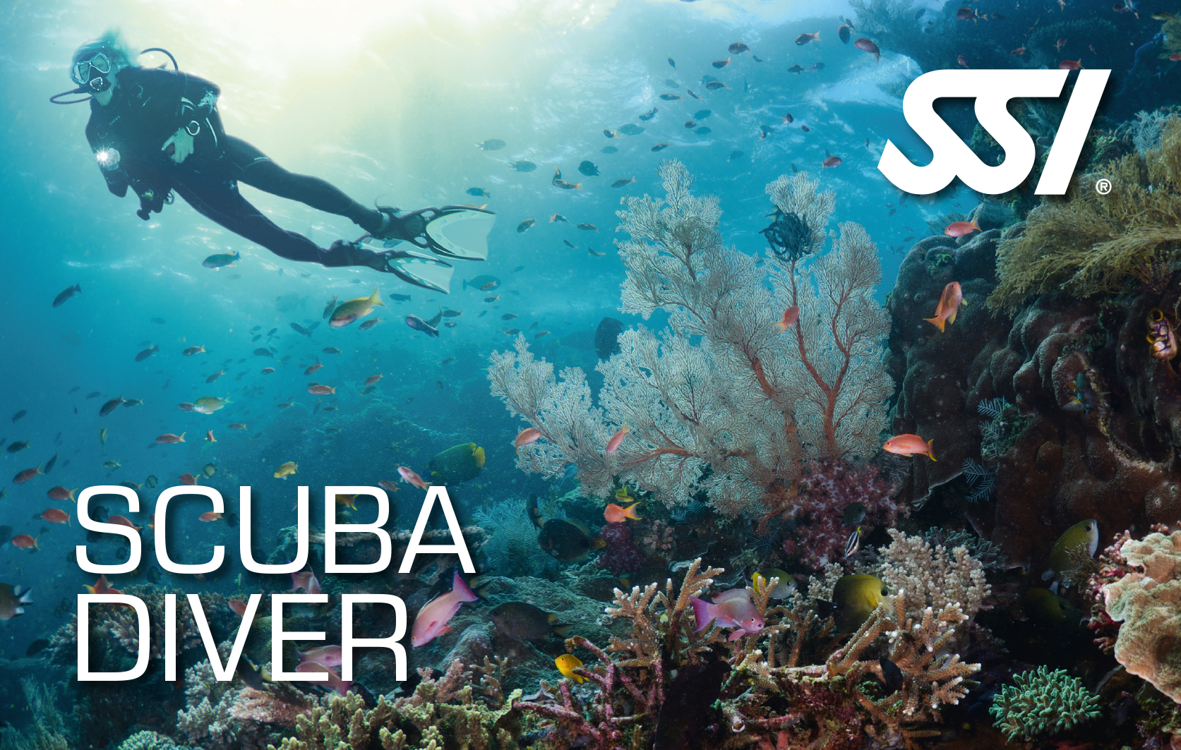 Scuba Diver Family pack