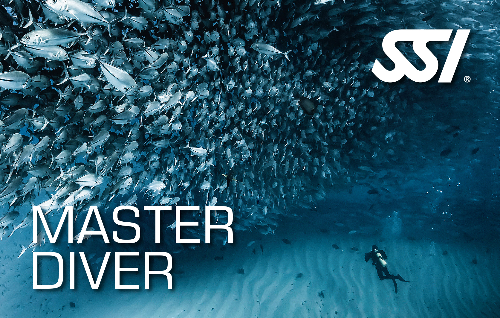 Become a MASTER DIVER