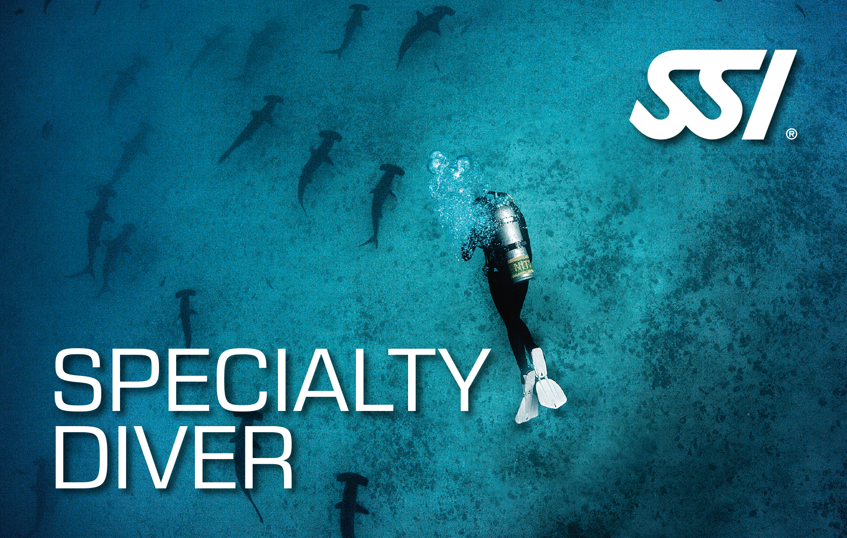 SPECIALTY DIVER PAKET