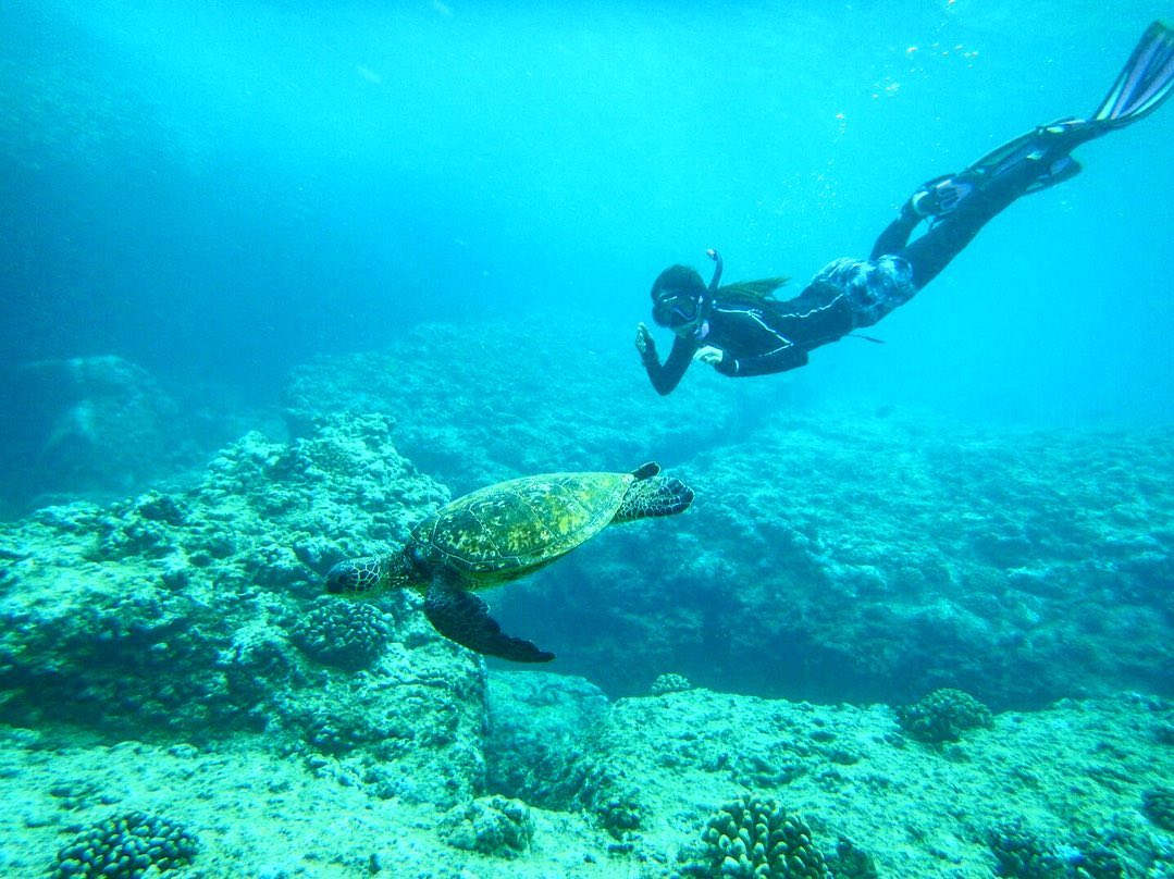 Amazing Islands for snorkeling in Europe Diving in Elba