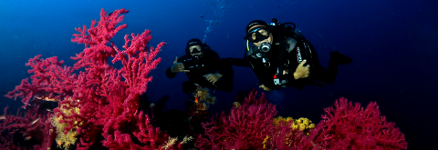 Alla scoperta dei fondali del Mediterraneo