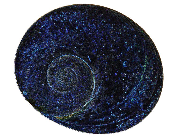 Orecchini ovali Occhio di Shiva/Santa Lucia in Argento 925