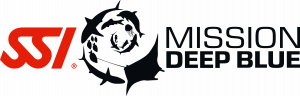 293329-SSI_LOGO_Deep_Blue_Black-300x96