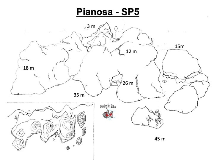 Schema illustrato del sito di immersione Boa 5 di Pianosa