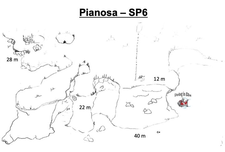 Schema illustrato del sito di immersione Boa 6 di Pianosa