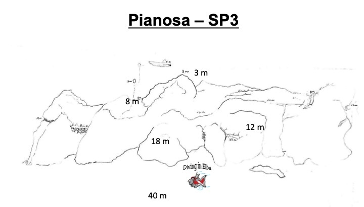 Schema illustrato del sito di immersione Boa 3 di Pianosa