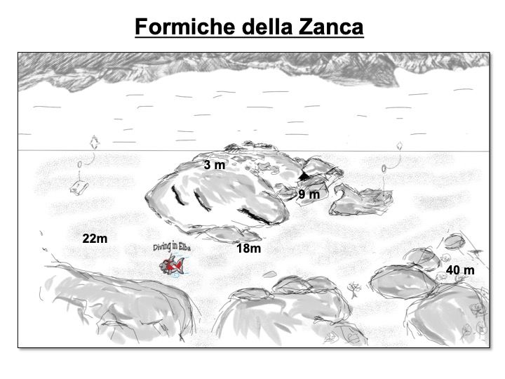 Schema illustrato del sito di immersione Formiche della Zanca