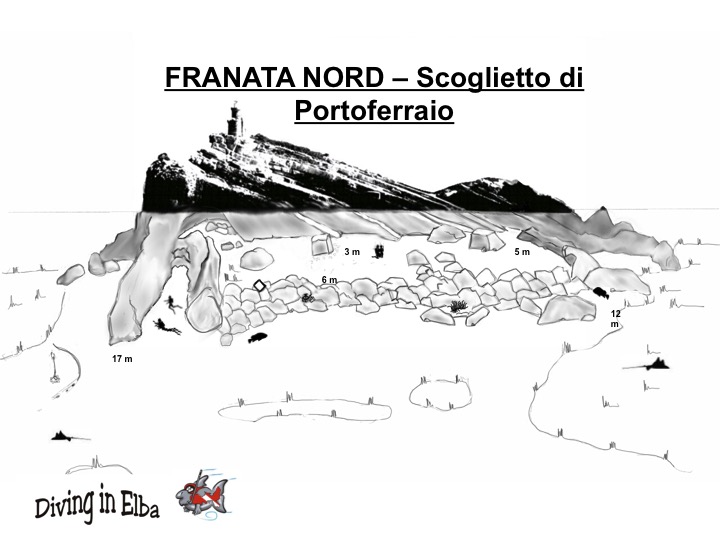 Schema illustrato del sito di immersione Franata Nord allo Scoglietto di Portoferraio