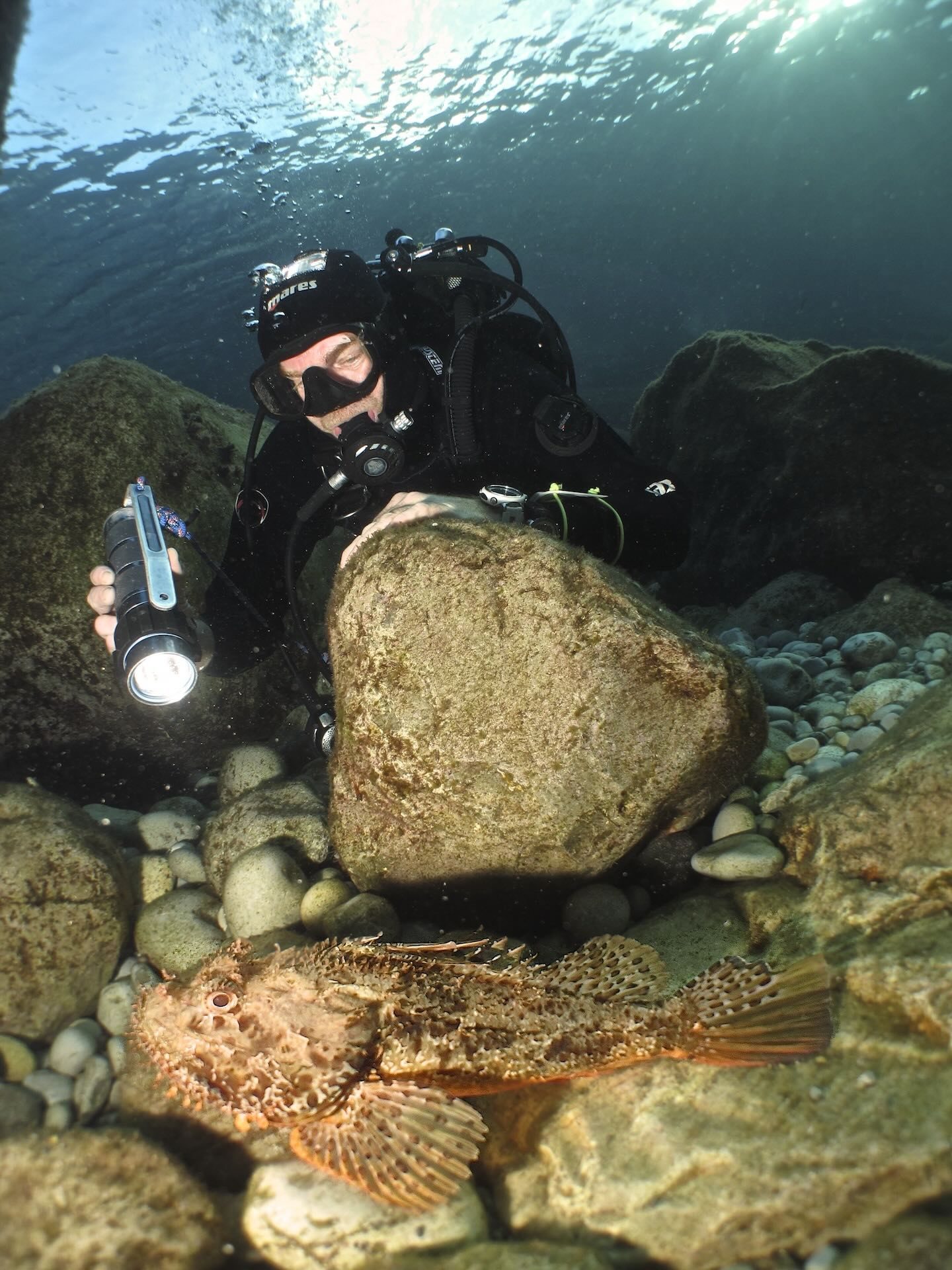 Subacqueo con torcia osserva uno scorfano tra i sassi sul fondale roccioso