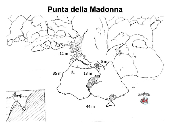 Schema illustrato del sito di immersione Punta dalle Madonna