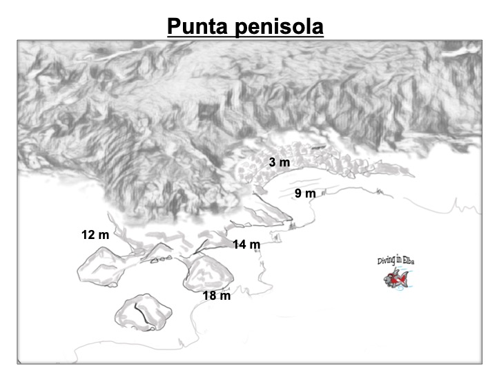 Schema illustrato del sito di immersione Punta Penisola
