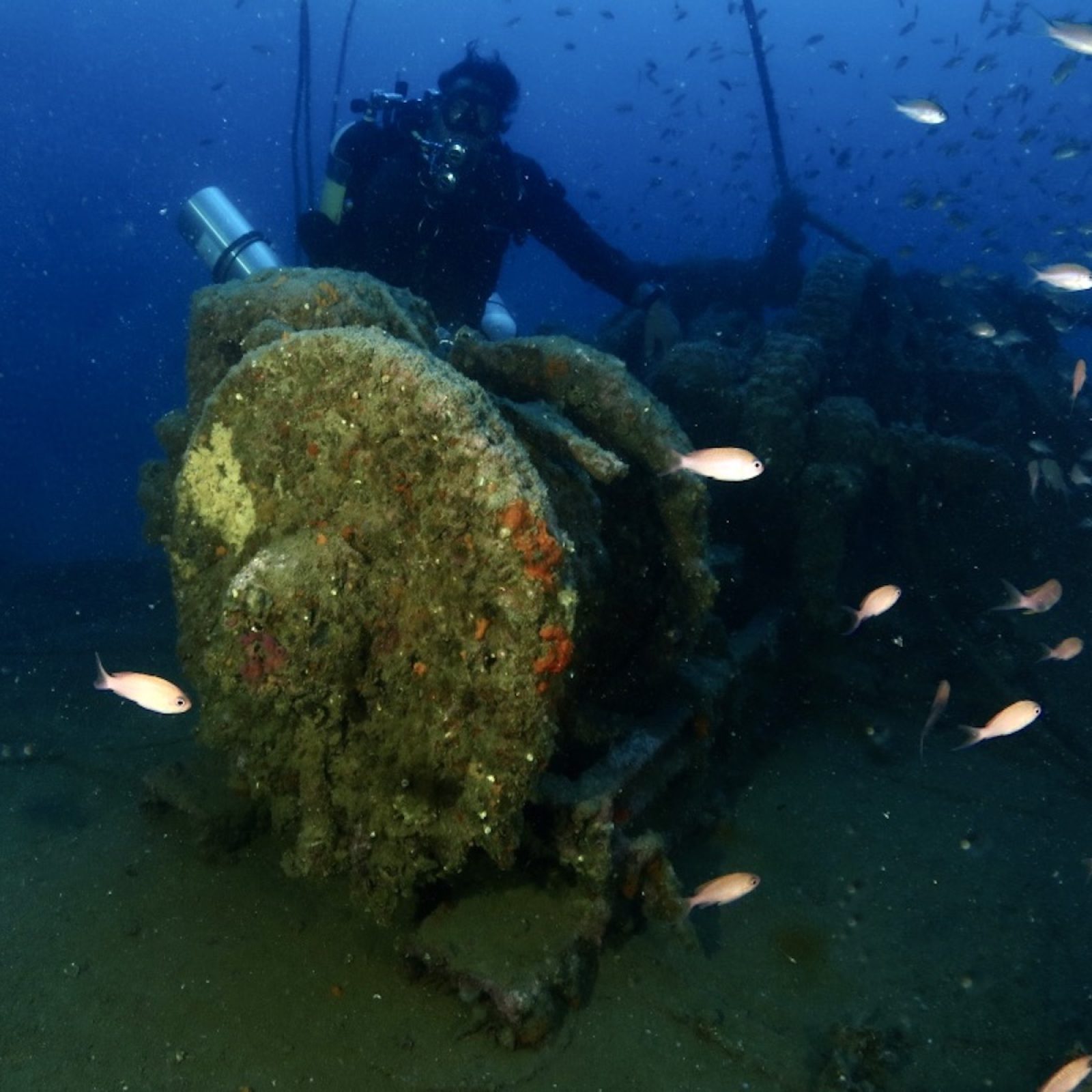 Subacqueo in immersione tra i blocchi del relitto della Bettolina circondato da pesci