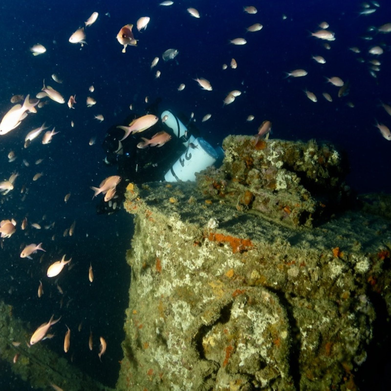 Relitto della Bettolina