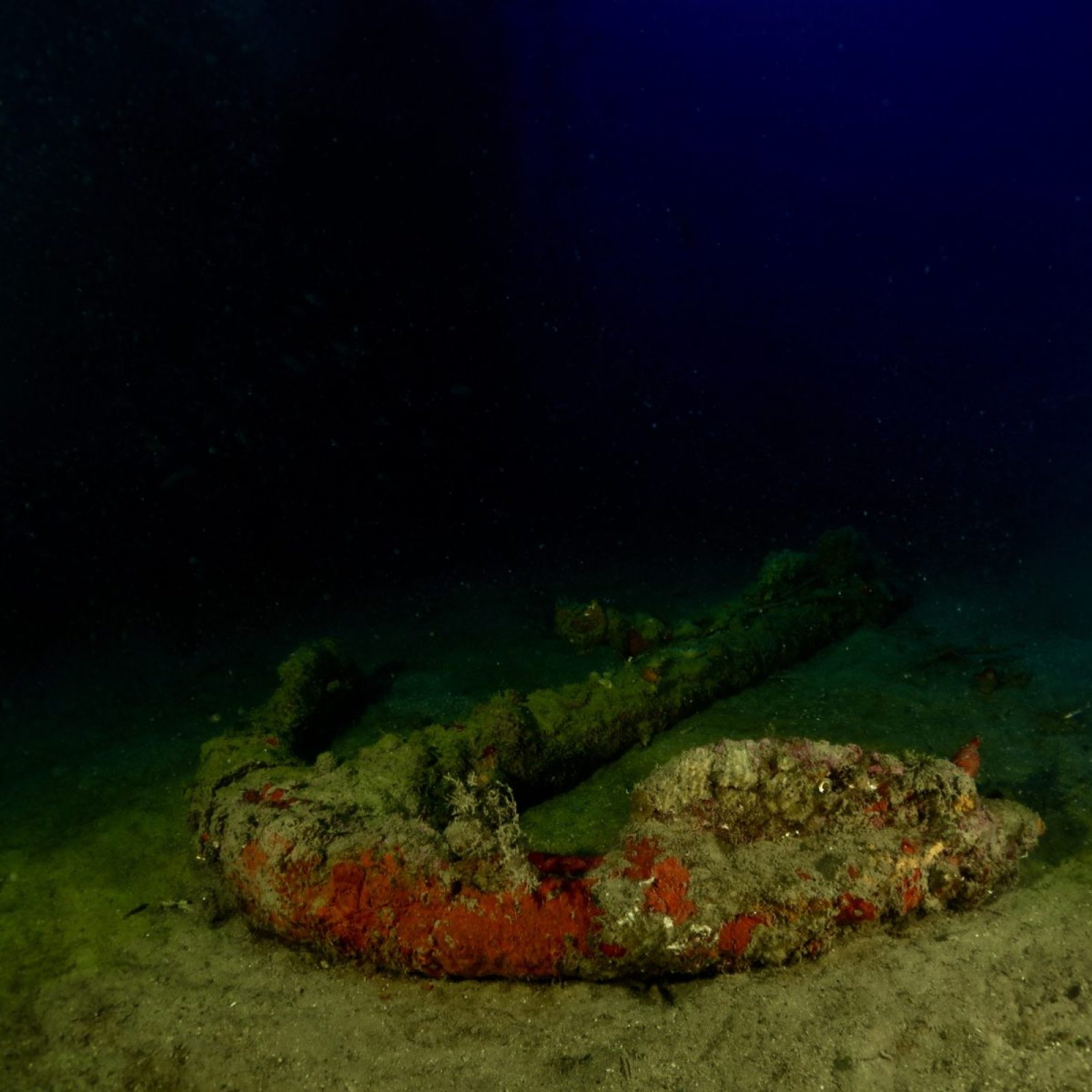 Ancora sul fondale sabbioso nei pressi del relitto della Bettolina