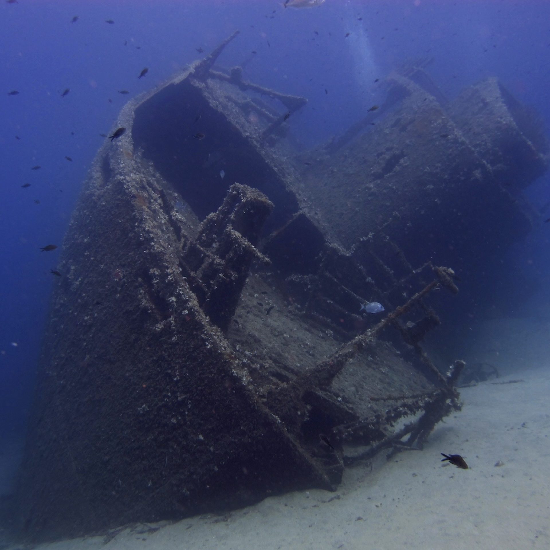 Relitto di Pomonte adagiato sul fondale