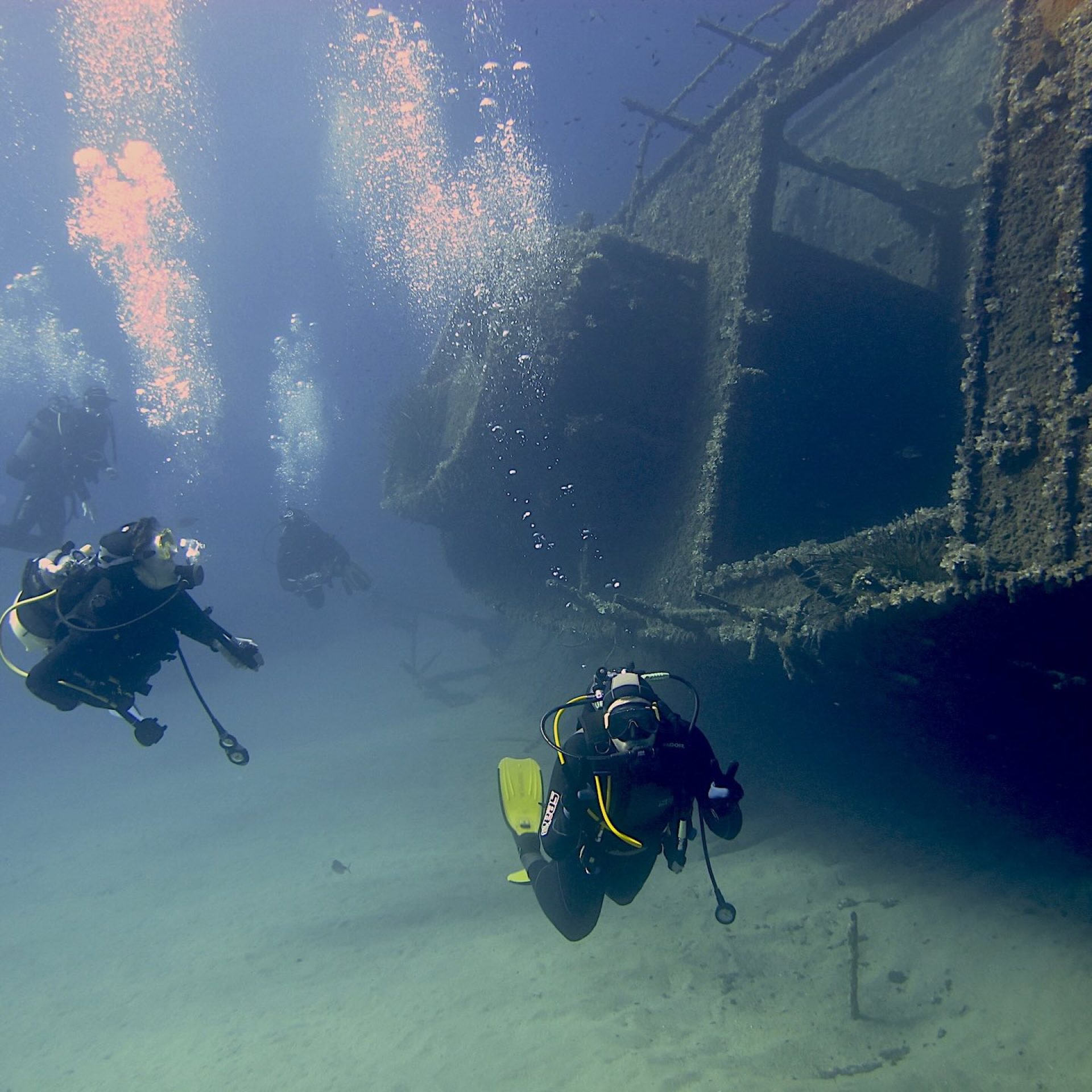 Subacquei in esplorazione del relitto di Pomonte sul fondale sabbioso
